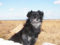 /album/foto-zhivotnyj-mir/a102-7127-jpg/