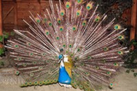 /album/foto-zhivotnyj-mir/dsc-4404-jpg1/