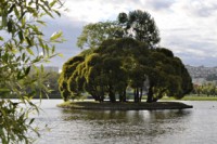 /album/foto-moskva/dsc-0425-jpg/