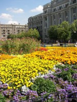 /album/foto-kharkova/a102-6311-jpg/