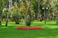 /album/foto-kharkova/dsc-0085-jpg/